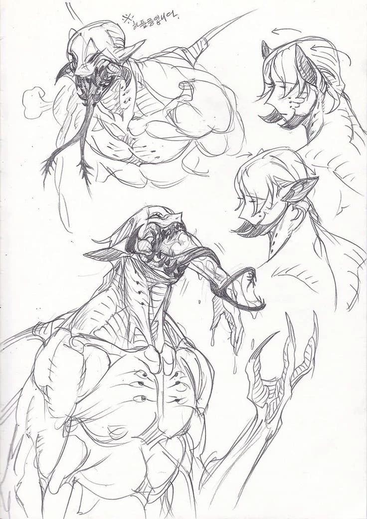 Shin thumbnail