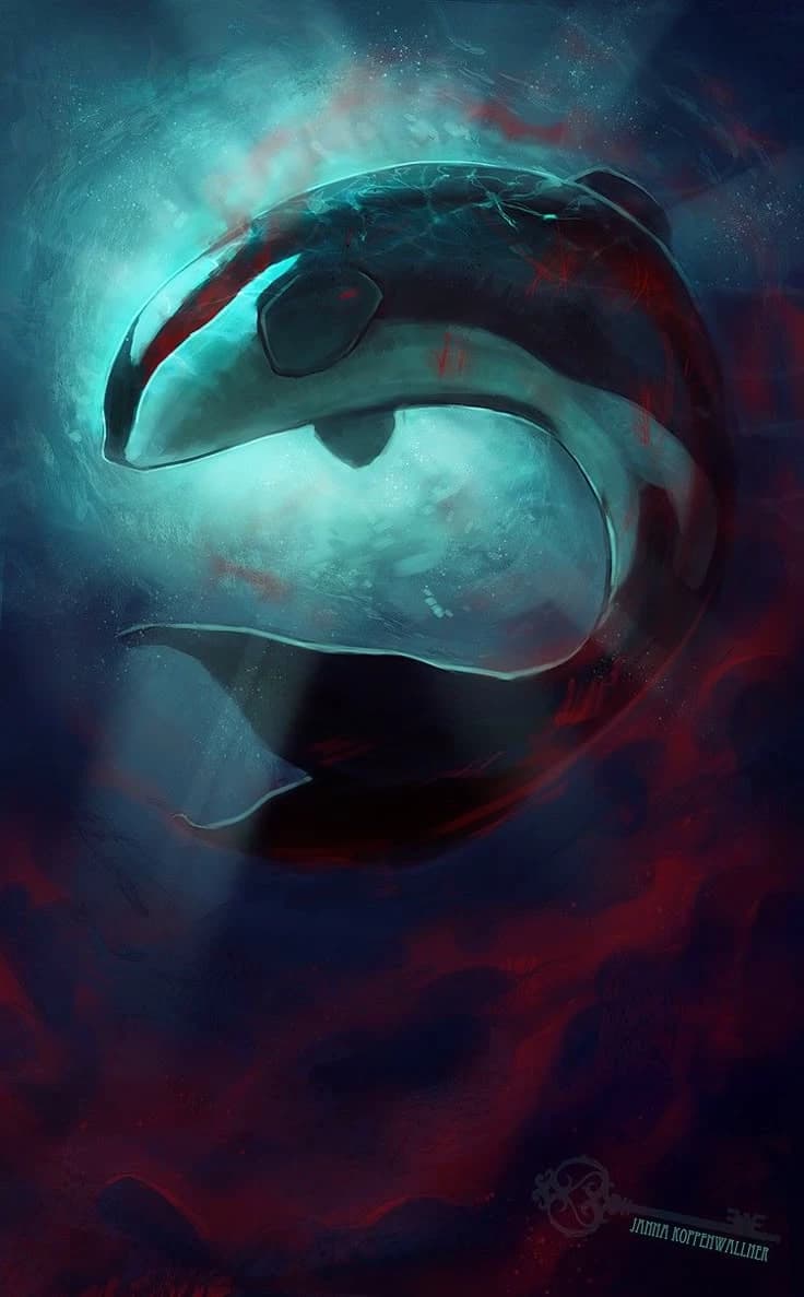 Tilikum | SeaWorld thumbnail