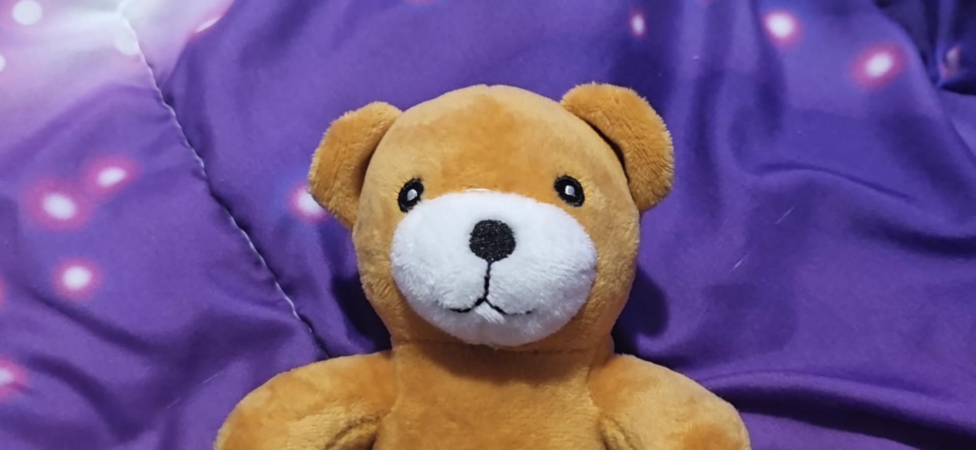 Poney Bear thumbnail