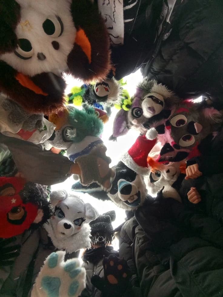 Furry City thumbnail