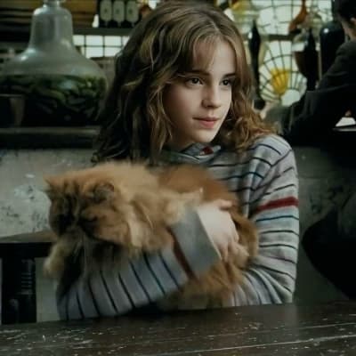 Hermione Granger thumbnail