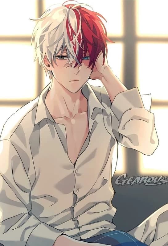 Shoto Todoroki thumbnail