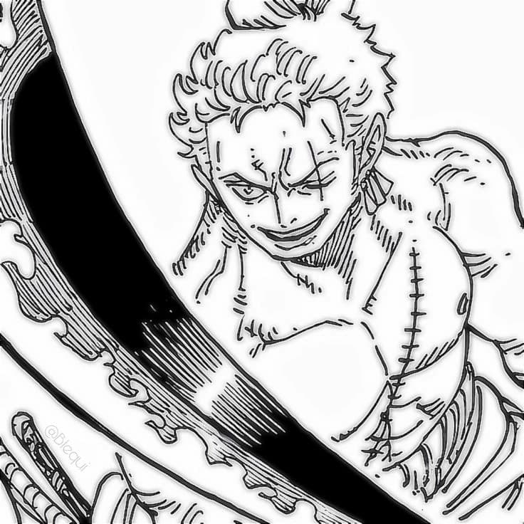 S🧺̶ㅤׄㅤ⭑.ᐟㅤ࣭ㅤ܄RORONOA ZORO thumbnail