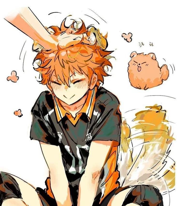 Hinata Shoyo thumbnail