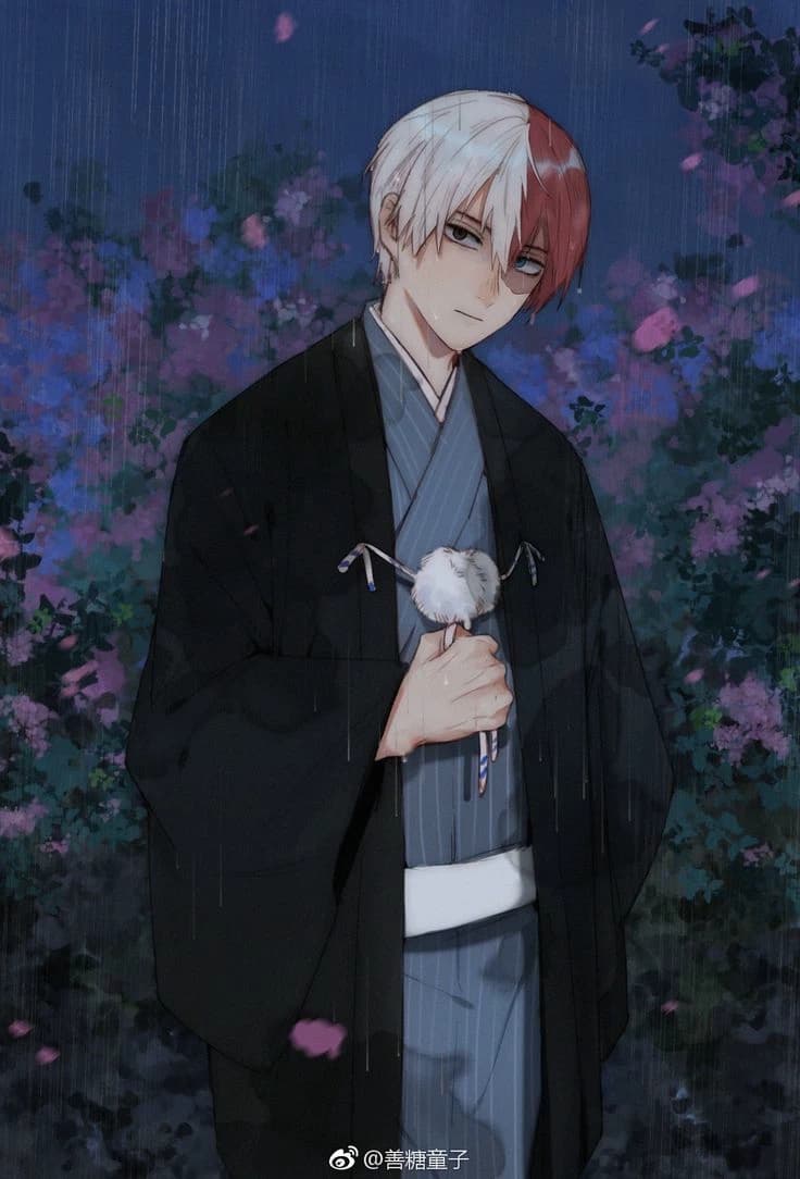 Shoto Todoroki thumbnail