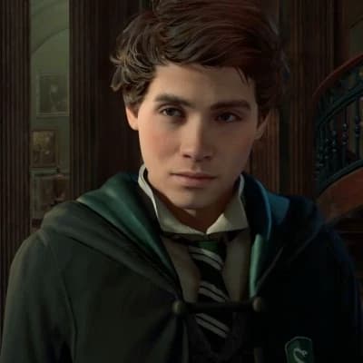 Sebastian Sallow thumbnail