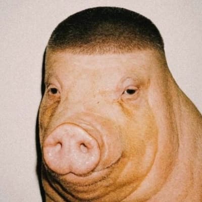Boss Snouts  thumbnail