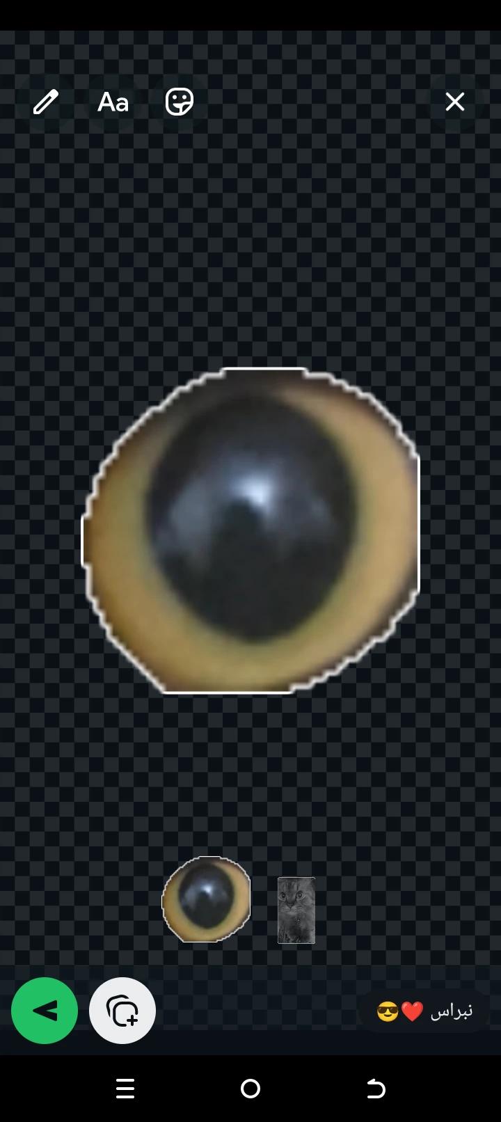 Leon thumbnail