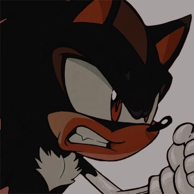 Shadow the Hedgehog  thumbnail