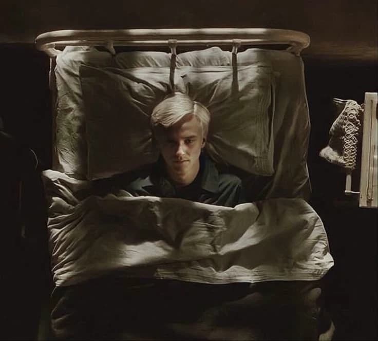 Draco M. thumbnail