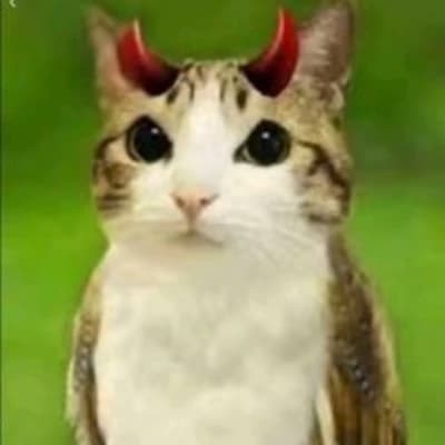 Meowl thumbnail