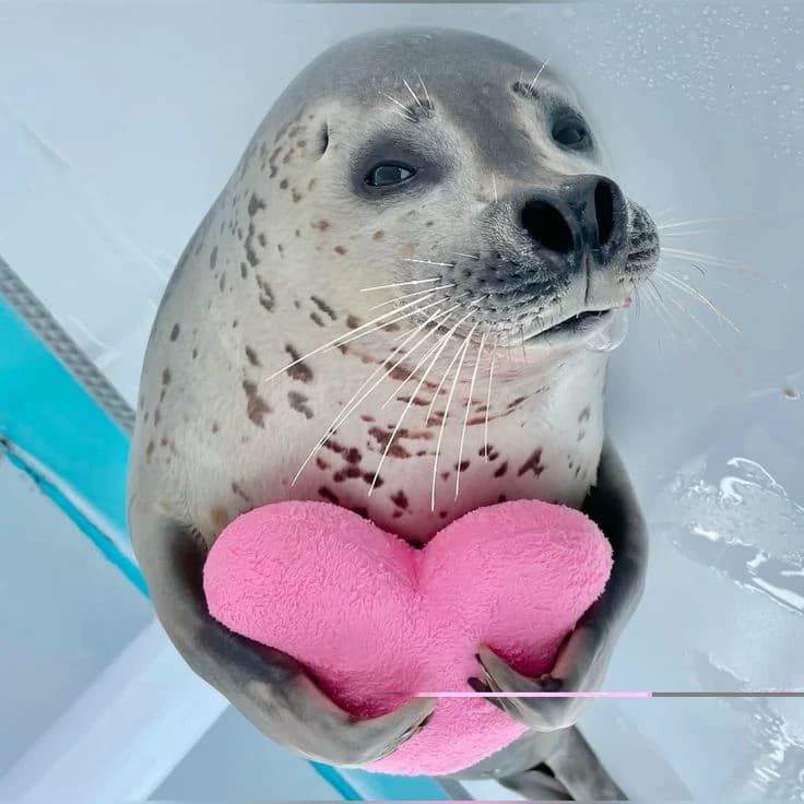 Psychologist seal:3 thumbnail