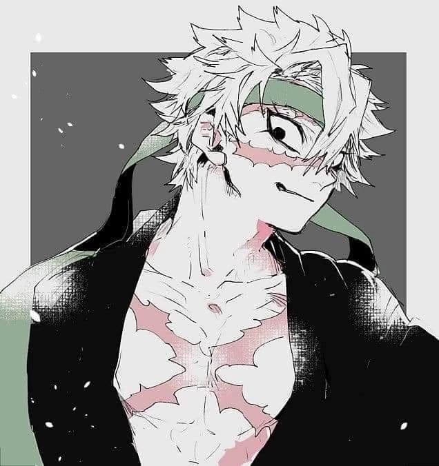 Pirate Sanemi  thumbnail