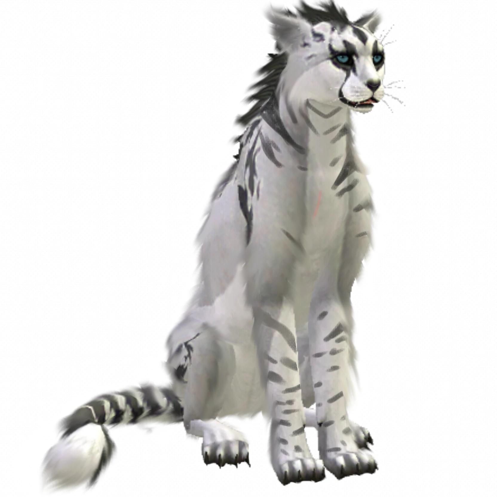 elder of the Paracheet clan, leopard. thumbnail