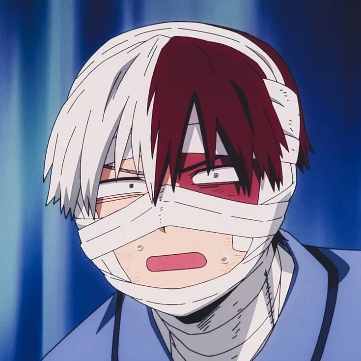 Shoto Todoroki thumbnail