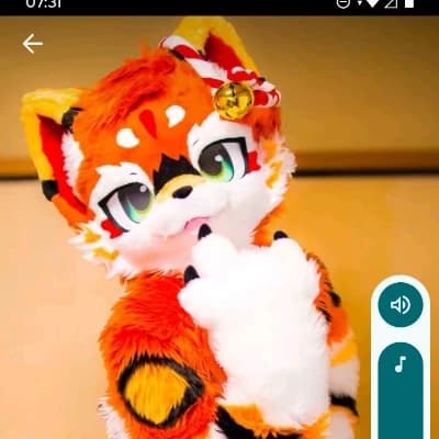 Sammy thumbnail