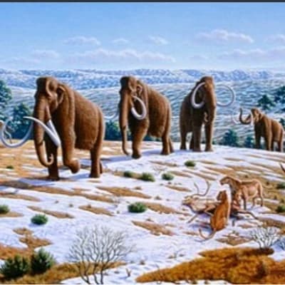 Cenozoic Era thumbnail