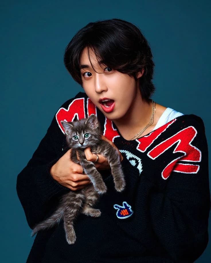 Han Jisung (millionaire boy) thumbnail