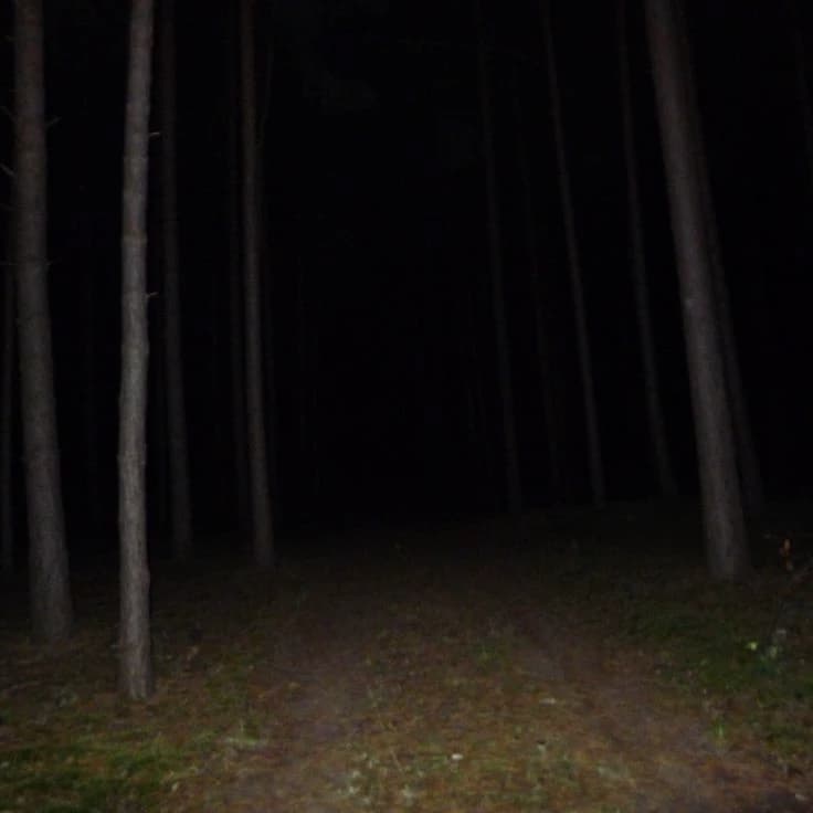 THE PURGATORY thumbnail