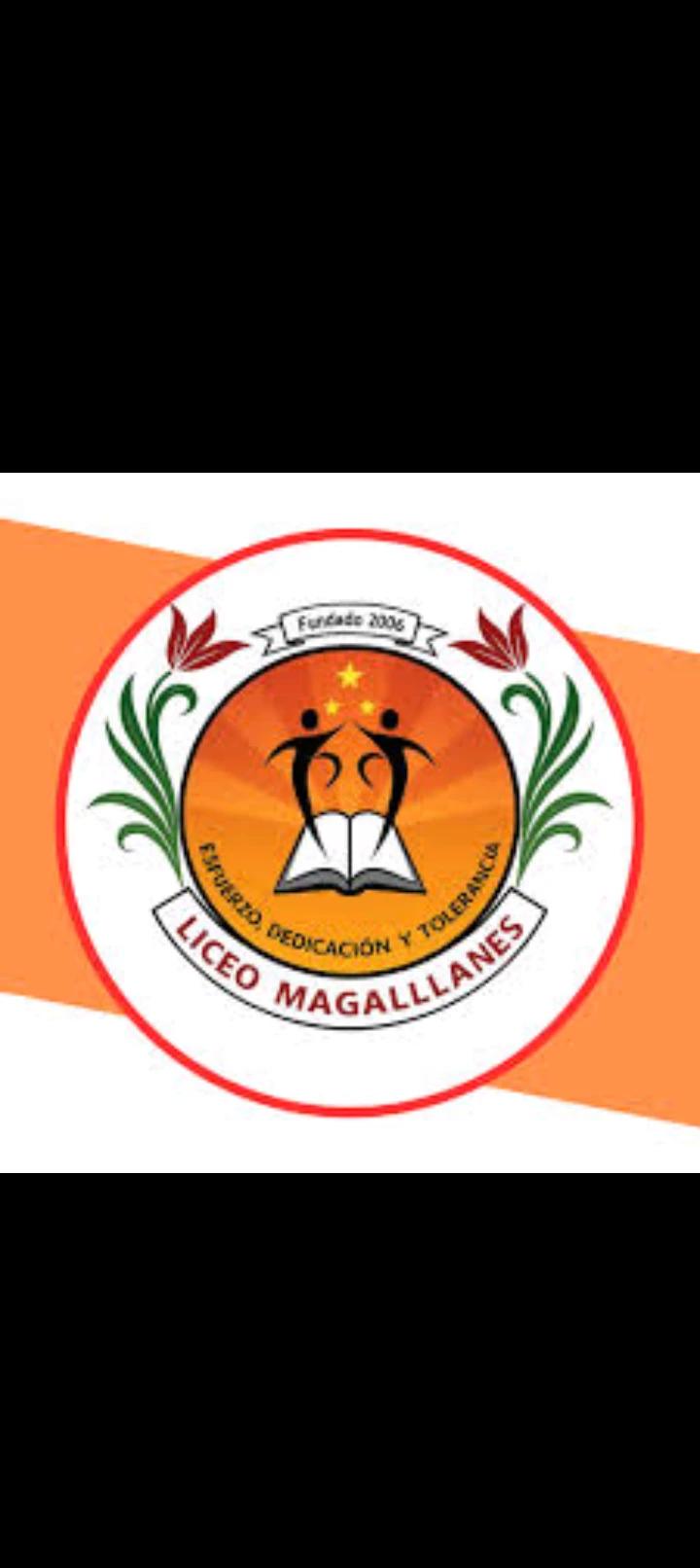 The Liceo Magallanes school thumbnail