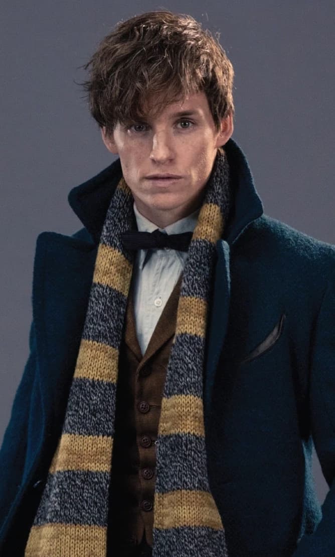 Newt scamander thumbnail