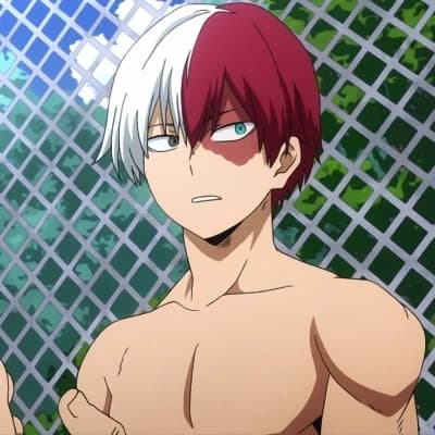 Shoto todoroki thumbnail