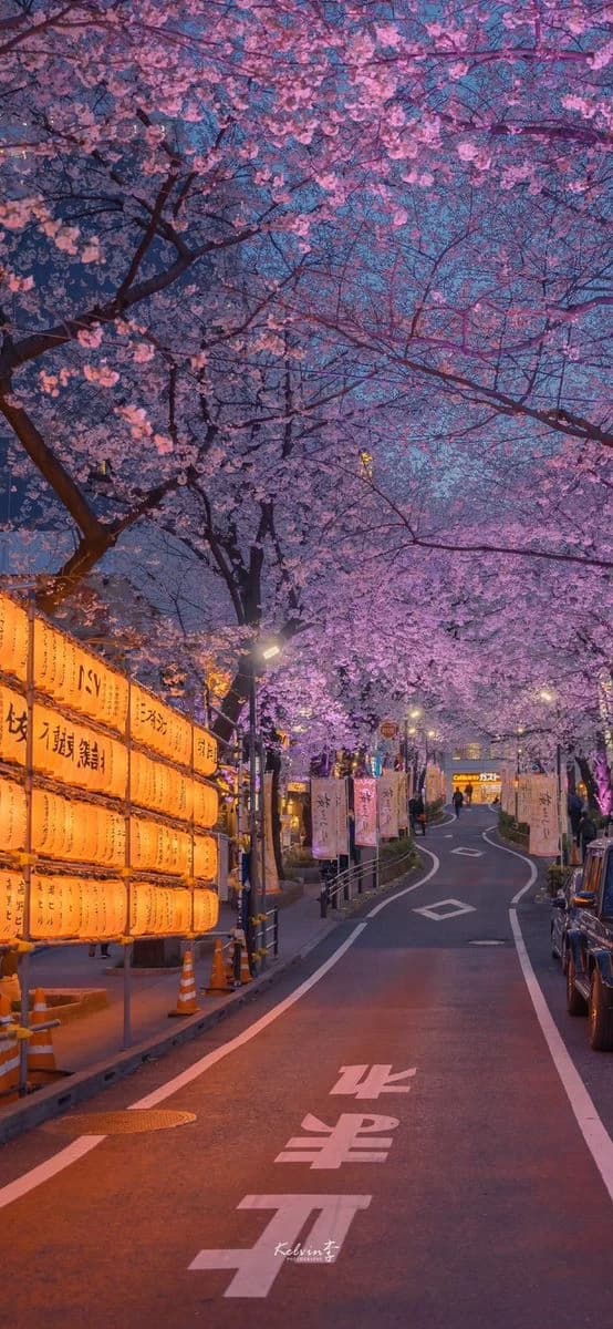 Japan love strory rp thumbnail