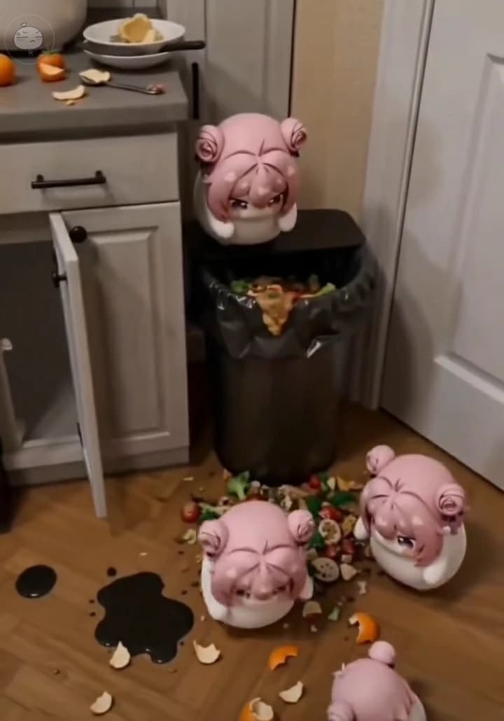 3 dolos in your kitchen bin thumbnail