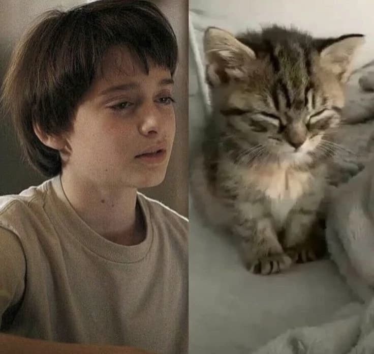 Will Byers thumbnail