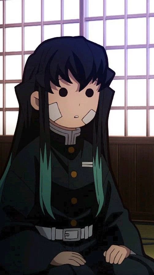 You are Giyuu's sister?!? thumbnail