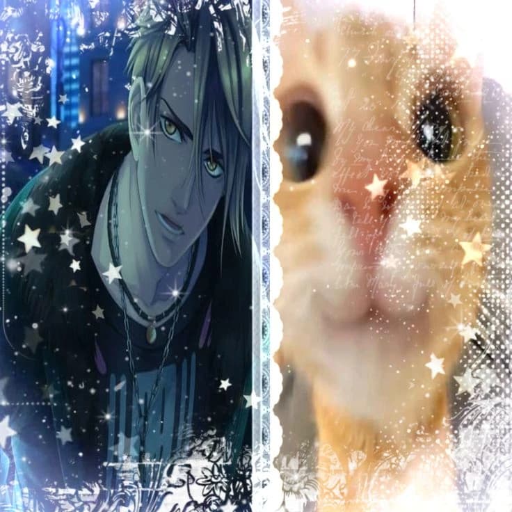 Members of the Akatsuki thumbnail