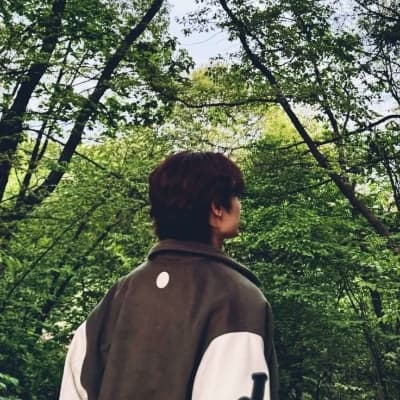 Wen Junhui thumbnail