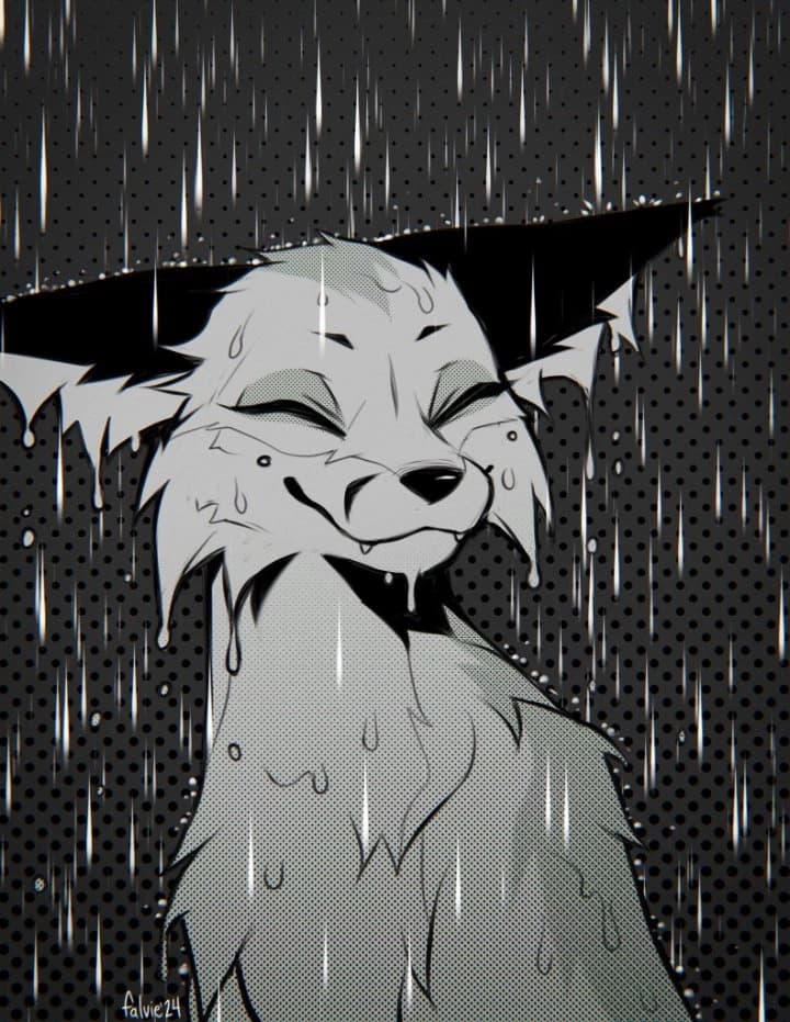 Alice (fox) thumbnail
