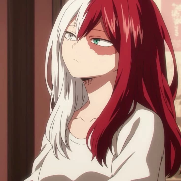 Shoto Todoroki sister thumbnail