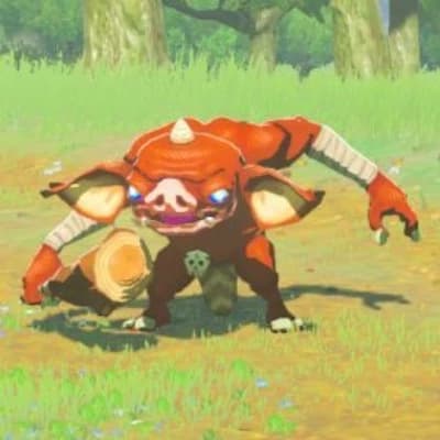 Bokoblin Network thumbnail