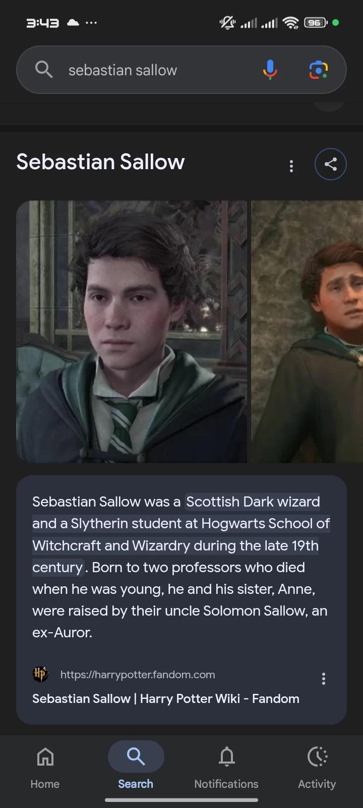 Sebastian Sallow thumbnail