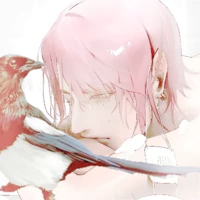 Jay thumbnail