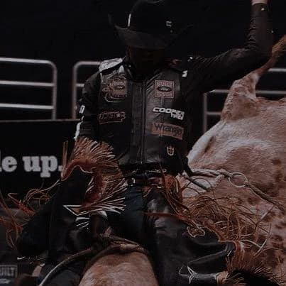 Colt Ryder Boone thumbnail