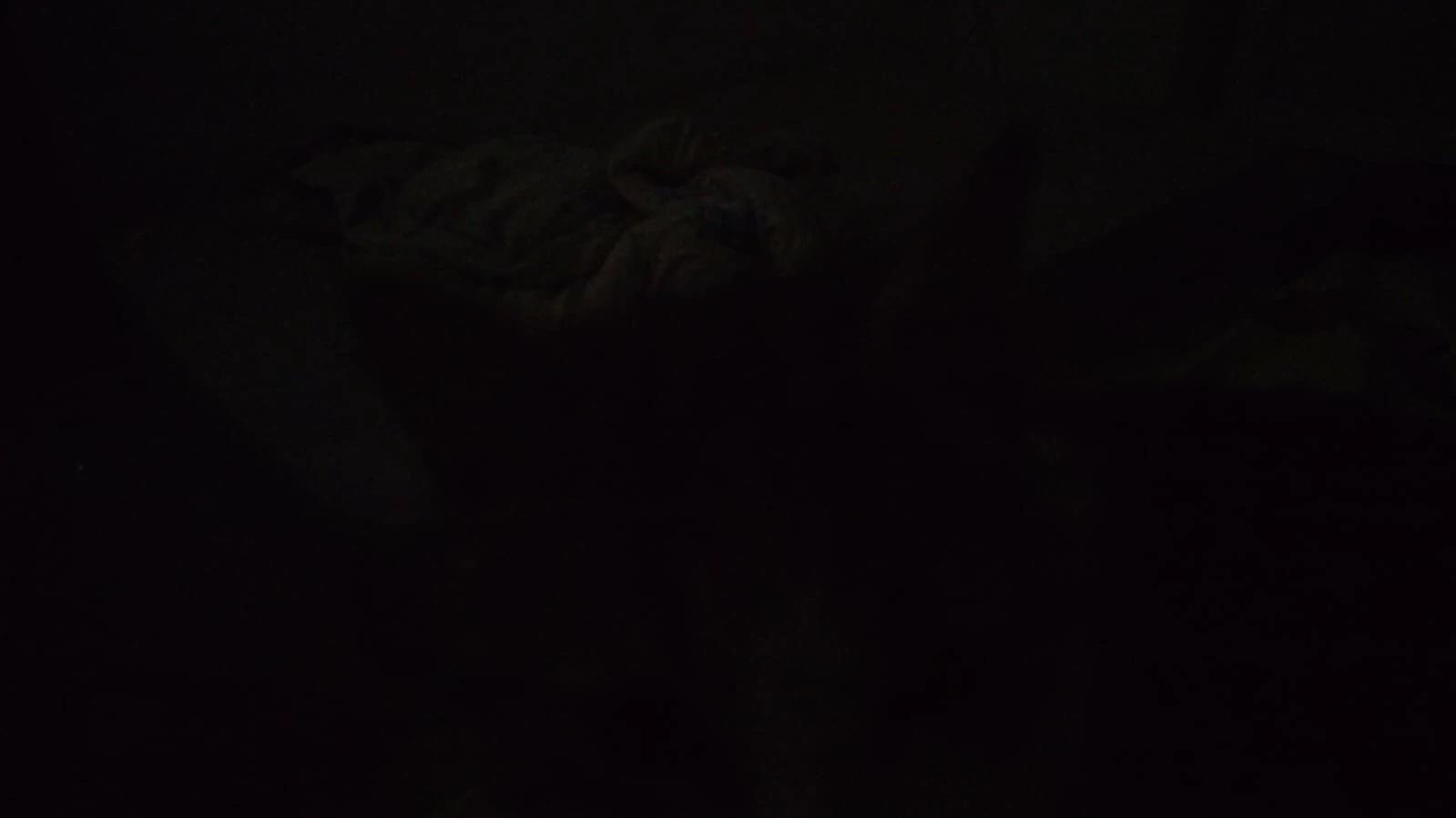 Aiden thumbnail