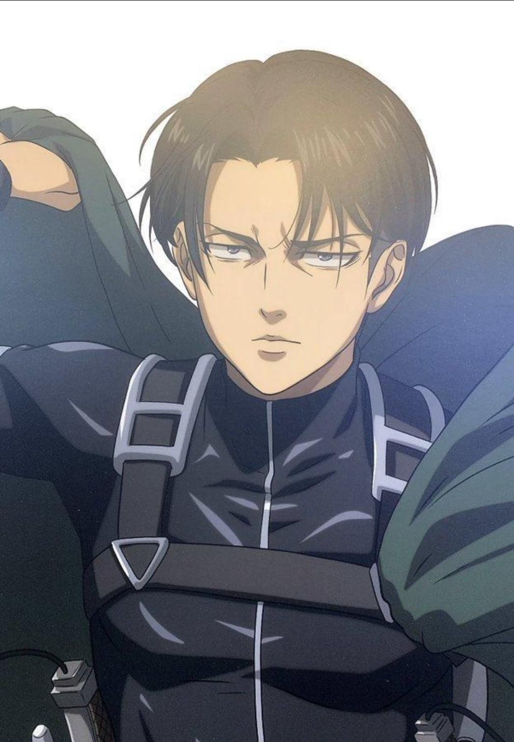Levi Ackerman  thumbnail