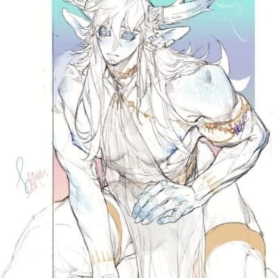 Neofei thumbnail
