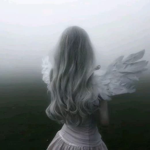 Fairy x Dark Boy thumbnail