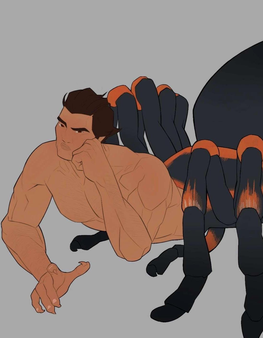 O'Hara Tarantula thumbnail