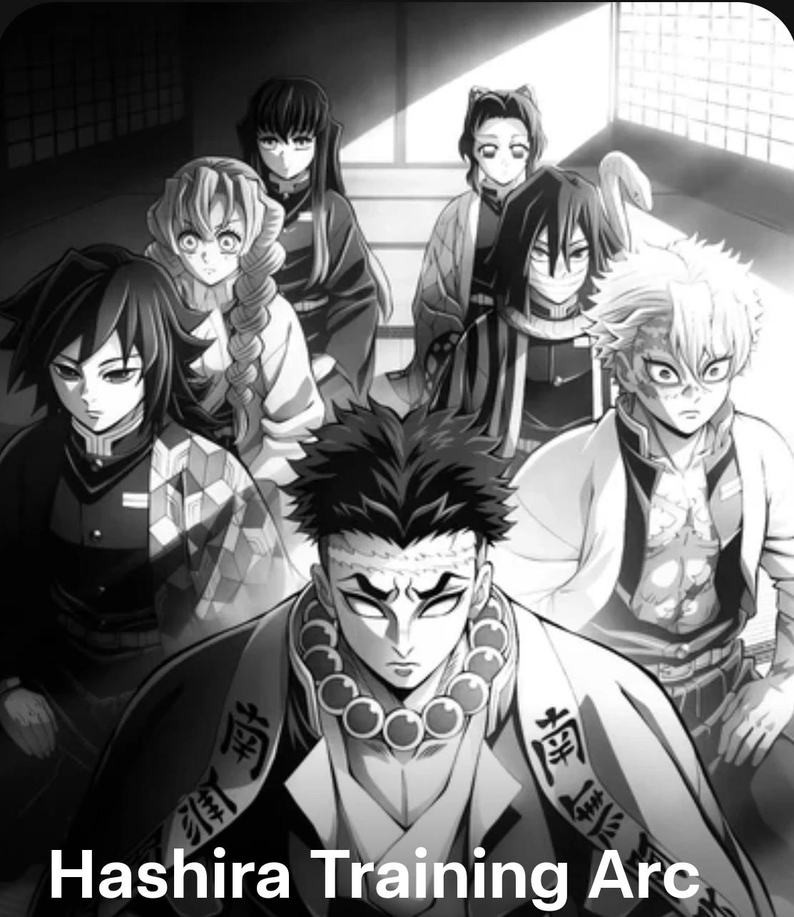 Hashira Training Arc  thumbnail