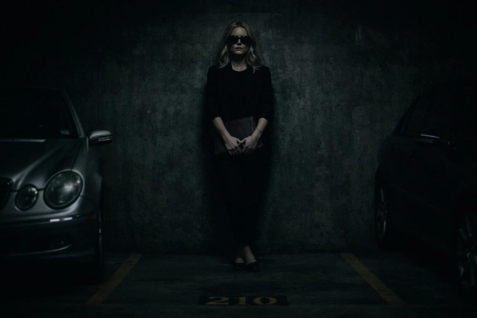 Lurking In The Shadows  thumbnail