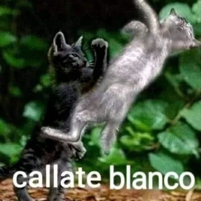 Fight against the black cat thumbnail