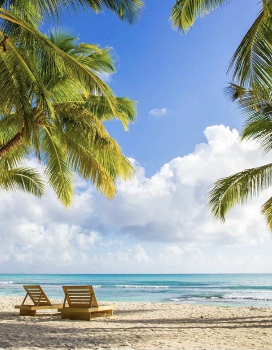 Beach  thumbnail