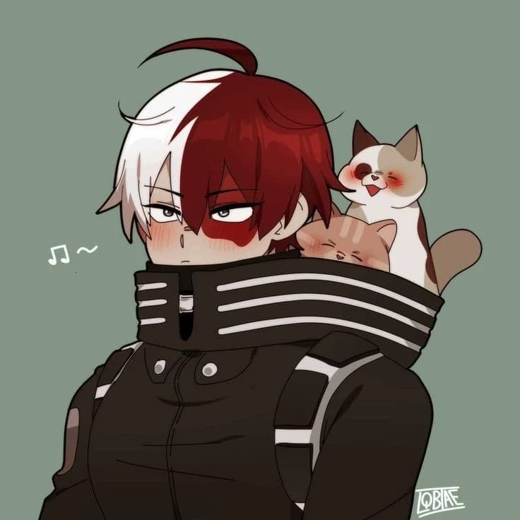 Shot todoroki thumbnail