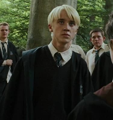 Draco Malfoy | Harry's sister trope thumbnail