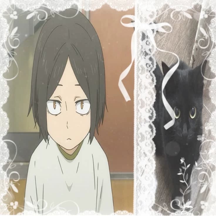 Kenma thumbnail